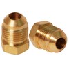 Everflow 1/4" Flare Plug Pipe Fitting; Brass F39-14